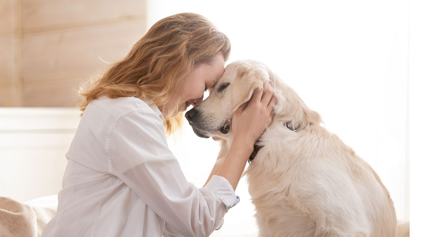 10 Natural Remedies for Common Pet Health Issues